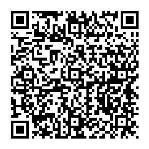 淮山和阜头为主的这几个山区丘区所占面积比例较大的县份发展粮食种植和中药材种植的优劣缺陷二维码生成