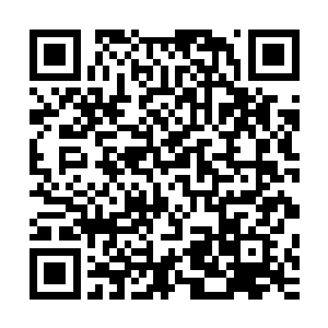 混沌星域中的几位镇域界主惊讶地看着凌云界主头顶的破坏神二维码生成