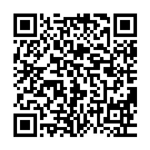 混沌神兽的身体框架其实也是一种特殊的空间法则构造作为基础二维码生成