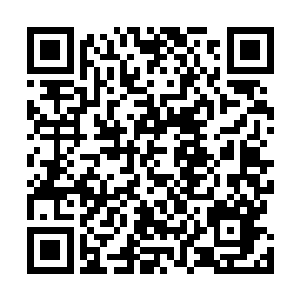 混沌种子的药草被土灵珠一次又一次的送到了林烽的面前二维码生成