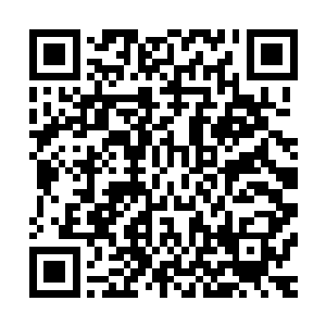 清净宗洛玄宗巨手宗长白宗蓝月宗灵树宗霸元宗合天宗风清宗二维码生成