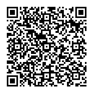 清扬 不用担心 这老妖怪的领域之力我是在了解不过 这力之道的光柱 是不会出现在外界的 二维码生成