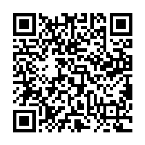 清楚的标识着赵虎两人所在的位置以及那钱长青所在的位置二维码生成