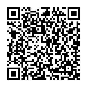 清理残魂……还有他正在利用神秘而强大的火焰在炼化现场的印记和气息二维码生成