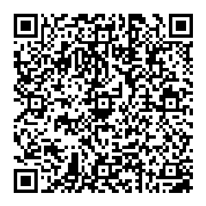 清脆的落地之声回荡在整个大殿之中 显得如此悦耳 但此时的风清扬 却是呆滞了 他脑海一片空白 已经忘记了思考二维码生成