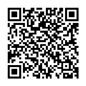 渔季一开始的时候你带着他们绕了一个月的圈儿还说和你没关系二维码生成