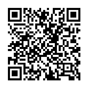 渠正言安排的突袭队伍或许已经在穿过昏暗天幕下的崎岖山林二维码生成
