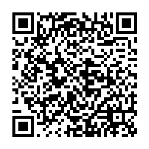 渡边也还是只有死路一条的……只不过现在的渡边不但是心脏被爆裂了二维码生成