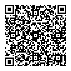 游戏中玩家能够听到的音频文件实际上系统通过现实中的资料自动处理成能够被人体神经系统所接受的数据二维码生成