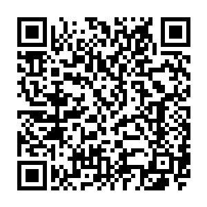 湛天丞染着淡淡忧伤和自责的眸光瞬也不瞬的落在怀里泪流满面的丫头身上二维码生成