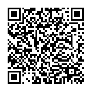 湛天丞这个新上任的代理董事长迅速召集各部门主管开了个简短的会二维码生成