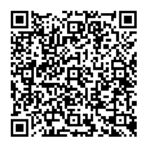 滔天杀机 无尽的死气让这光箭化作的白龙成了勾魂的使者 所过之处 大地之上的一切生命都在瞬间枯萎凋谢二维码生成