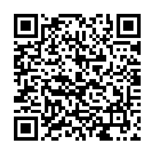 滔滔不绝的把这次办事的过程跟她大概的讲述了一遍二维码生成