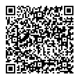 滚滚而下 卷动万千风云 甚至虚空都颤抖起來 那庞大的威压无可匹敌 以肉眼可见的速度呼啸而下二维码生成