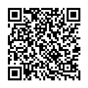 满意的看了一眼两个人共同在那面画纸上留下的诗词和画卷二维码生成