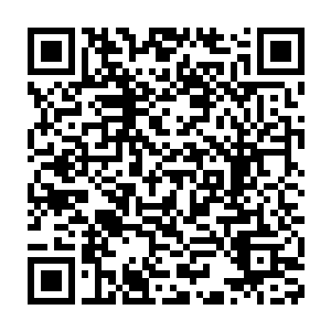 满打满算不过两年吧……怎么可能在这么短的时间就长成了参天大树二维码生成