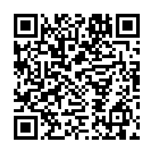 满打满算也就是第一关三分之一左右的路程就彻底死光了二维码生成