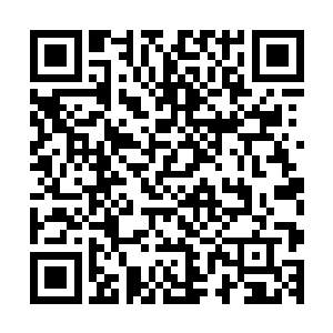 满满的一大锅灰豆子不到半天就在小蛮的娇笑中卖的一干二净二维码生成