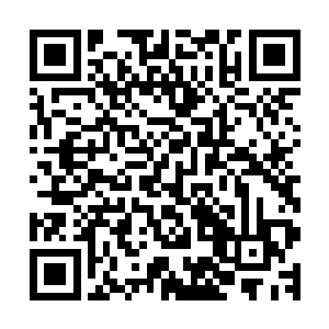 满眼满心只剩下了季疏云这犹如万树梨花绽放一样清美的笑容二维码生成