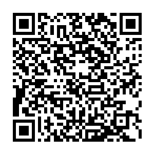 满翠碧绿枝桠好像花瓣一般被已经长到一人多高的青色滚圆果子压得倒弯下来二维码生成