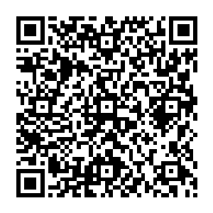 演员的表现就决定了电影的成绩――这也是演员片酬总是占据电影成本人工成本大头的原因二维码生成