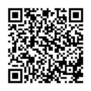 漠北皇帝亲自带了自己的妃嫔和公主皇子们到皇宫大门前迎接二维码生成