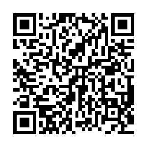 漫天漫地的羽毛和棉絮才能稍微缓解一些他内心的愤怒和耻辱二维码生成