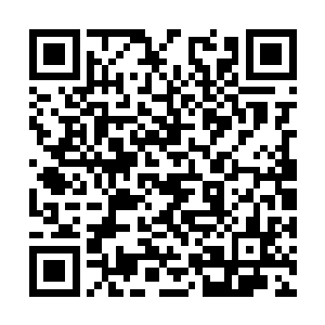 漫长而毫无意义的会议参加一两次就够让人难受了二维码生成