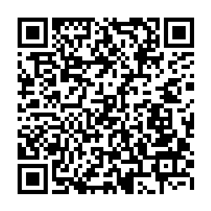 潜伏在楼顶上的洪亚伦和潜伏在车库旁边的赵玉山先后给赵长枪打來电话二维码生成