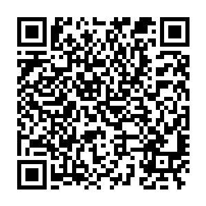 潮涌爆裂般在妖族众人汇聚的地方炸开一朵毁灭而绚烂的血色巨大花朵~二维码生成
