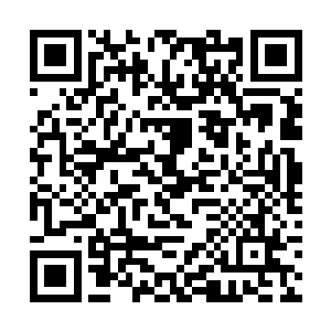 澹台明月和同事们正在采访中国佛教协会会长赵朴初二维码生成