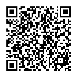 澹台璃瞟我一眼强忍笑意表情对服务员说我们刚才在用手机看悲剧二维码生成