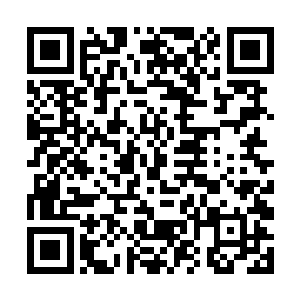 澹台臧莲似乎不想放过任何有利于这一次任务的机会二维码生成