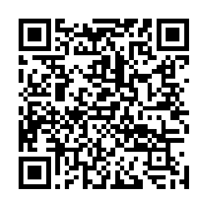 激动的像是看见一笔不得了的财富――这比喻其实有点不准二维码生成