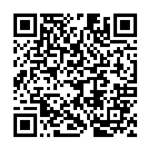 火修罗可就是经历了荒古死地的磨砺才真正名震天下的二维码生成