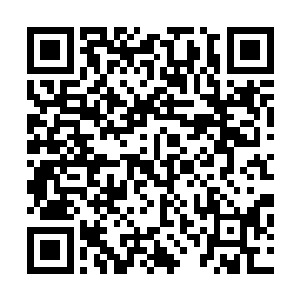 火凤族的人不遗余力的在秦宇耳边吹嘘和介绍着他们的原石二维码生成