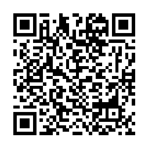 火凤族的族长冷哼了一声之后和三位太上长老便是离开了二维码生成