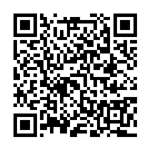 火城和土城相继明言表示咒巫您老还是回去巫城神殿待着吧二维码生成