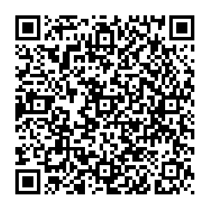 火灵王大吃一惊条件反射性的以宝镜抵挡可就算如此却依旧在狂暴的冲击下倒飞出去一直淹沒在黑暗中二维码生成