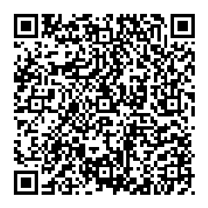 火灵王满脸呆滞时至今日他总算是感受到了风清扬真正的强悍若是他以此状态与帝天战斗的话只怕是一指就能碾压对方二维码生成