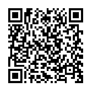 火狐皇本以为他们这一代几乎不可能有人掌握这样的圣域绝学二维码生成