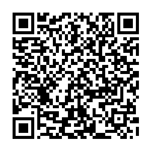 灰白的聚集在一起正在向前飞的伴生灵虫仿佛遇到了什么可怕的事情一样二维码生成