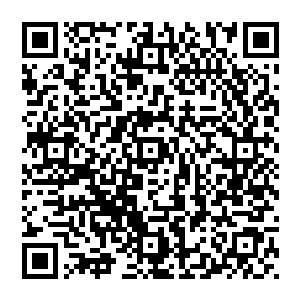灵兽内丹或许也是一个不错的路子……他们拥有着足够可怕的实力压制内丹蕴藏着的不安定的因素二维码生成