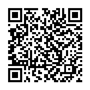 灵宝与赤焰亦是窝在东方青妍与宸王的怀中一动不动二维码生成