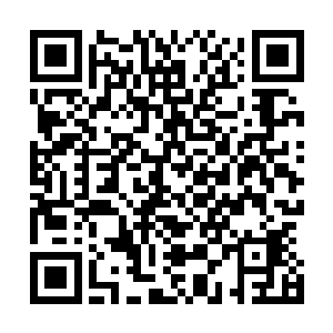 灵帝已经很久没有见过冷族长和严族长用这种崇拜的眼神了二维码生成