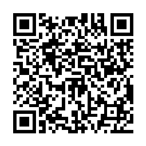 灵果脯和一壶灵酒收了流墨墨抛给他的一块晶灵石后恭敬的告退二维码生成