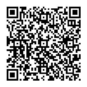 灵牙仙才刚刚恢复的长鼻也同样被爱丽丝那仿佛无坚不摧一般的菜刀给削去了一截二维码生成