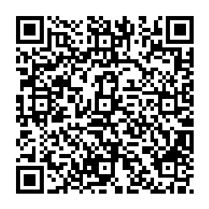 灵界分三大区域 每一区域汇聚一千修真星 充斥在整个无尽星空之内 构成了星域二维码生成