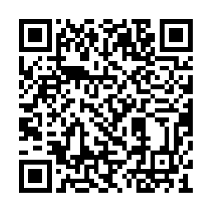 灵虚依旧用宽厚的甚至堪称宠溺的笑容面对梓箐二维码生成