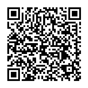 炙热的血流顺着那翠绿色的玻璃尖刺在疯狗的左脸上划下深深的一刀二维码生成